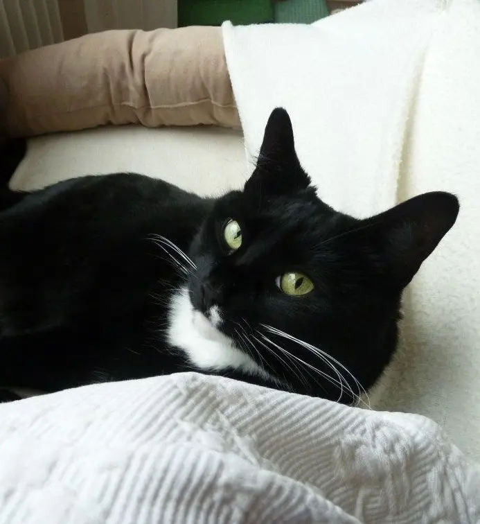 Condolence image of Cita❤️