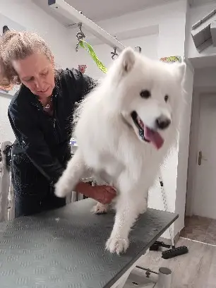 Condolence image of Renate mit Artax"Bubele"ganz tief im Herzen