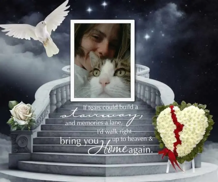 Condolence image of Sabine mit Kaspar&Jessy im ♥️