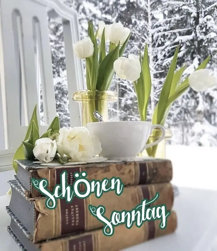 Condolence image of Heide mit Cita im Herzen❤️