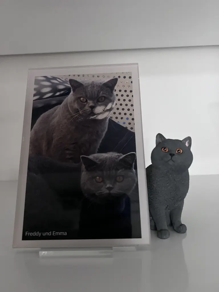 Condolence image of An Timmy und Tanja