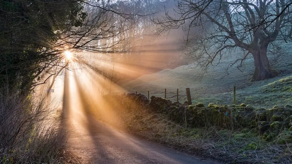 Condolence image of Claudia mit ASKO❤️