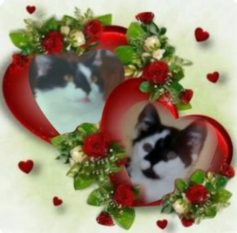 Condolence image of Snoopy und .Pünktchen