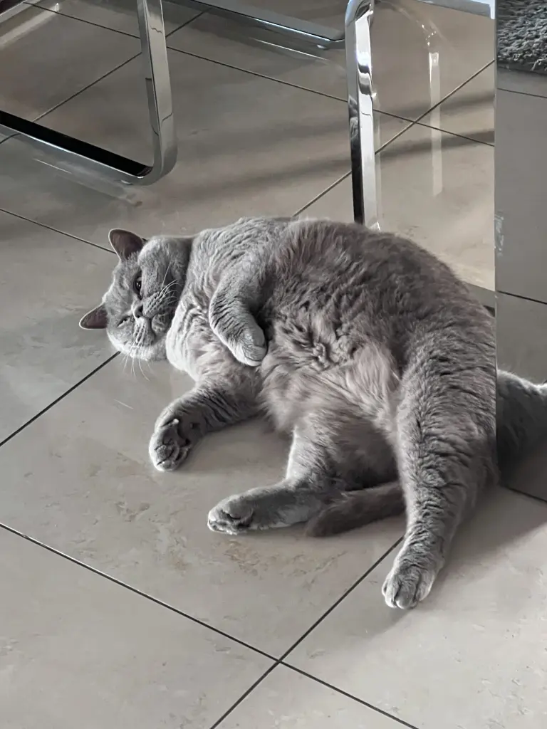 Condolence image of An Timmy und Tanja