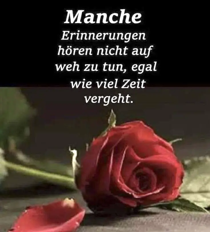 Condolence image of Heide mit Cita im Herzen❤️