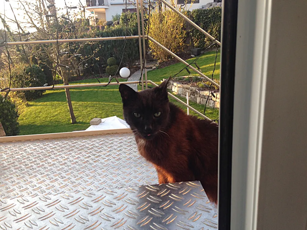 Condolence image of An Timmy und Tanja