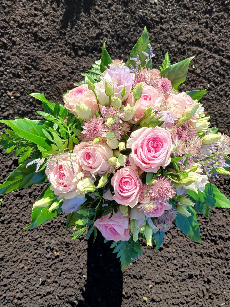 Condolence image of Snoopy und .Pünktchen