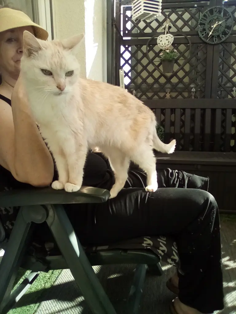 Condolence image of Beate mit Elvis im Herzen ❤