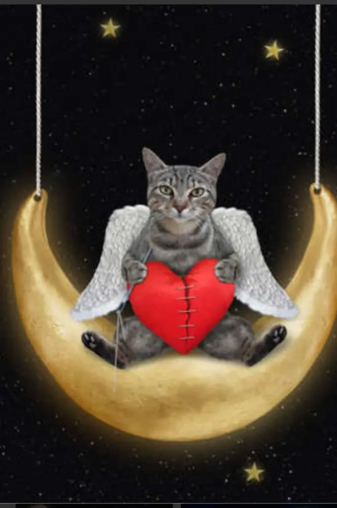 Condolence image of Sabine mit Kaspar&Jessy im ♥️