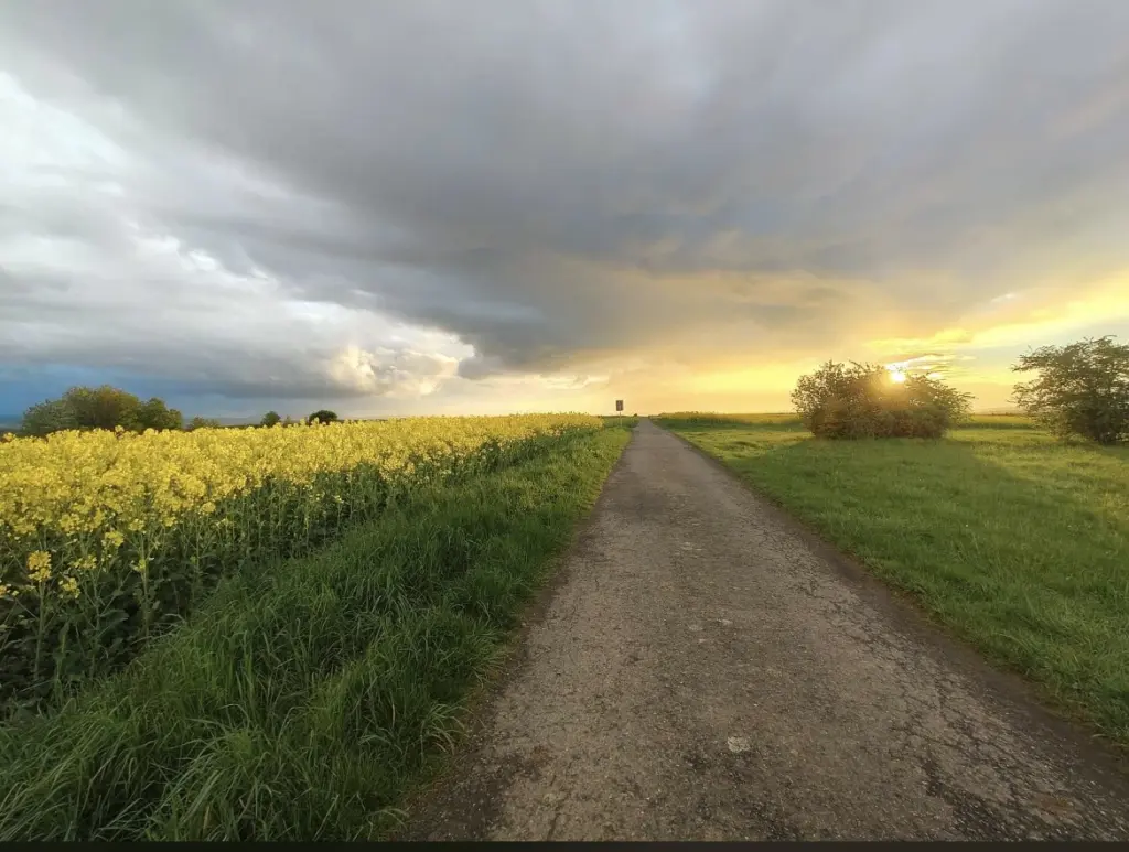 Condolence image of An Timmy und Tanja