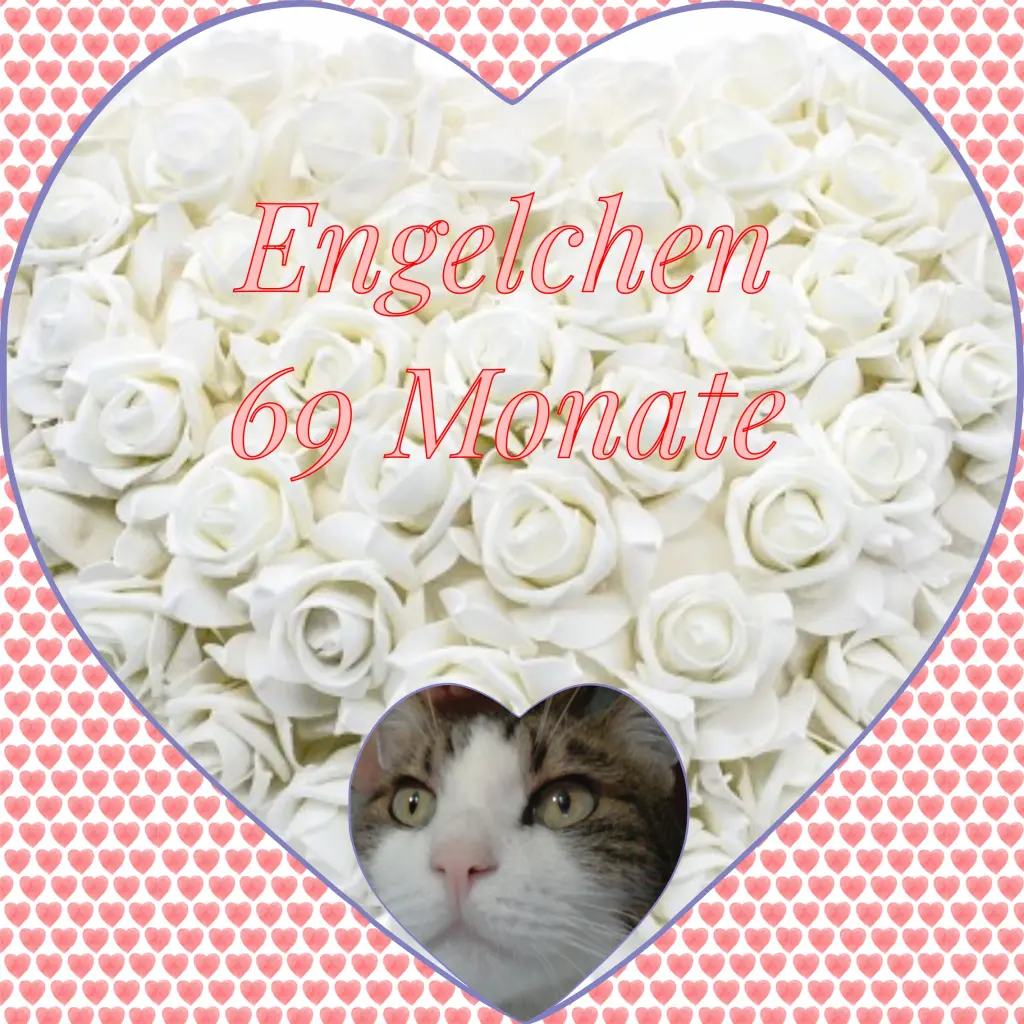 Condolence image of Corinna♥️