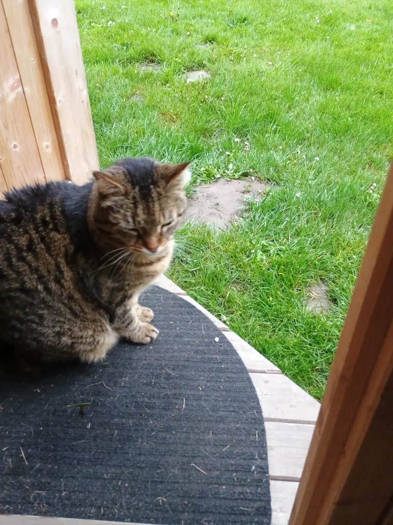 Condolence image of Annemarie und Elke mit Snoopy❤️und Pünktchen ❤️