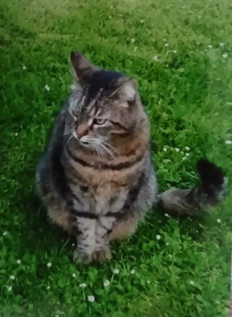 Condolence image of Annemarie und Elke mit Snoopy❤️und Pünktchen ❤️