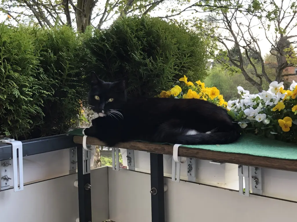 Condolence image of Ganz lieben Dank von Cita & Heide 