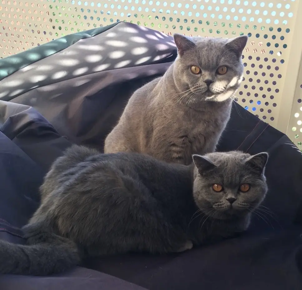 Condolence image of An Timmy und Tanja