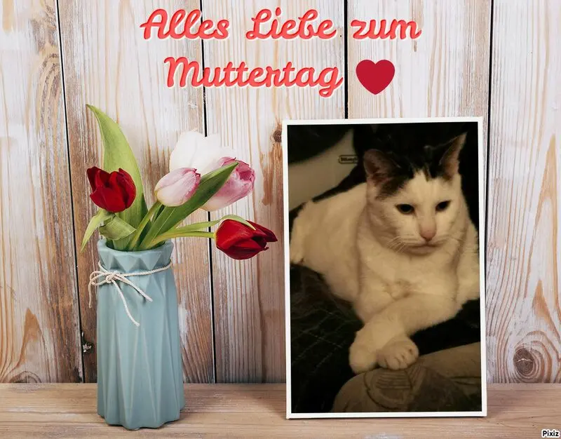 Condolence image of Dankeschön von Olena mit Lesik im Herzen ❤