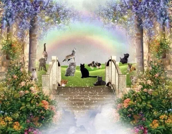 Condolence image of Heide mit Cita im Herzen❤️