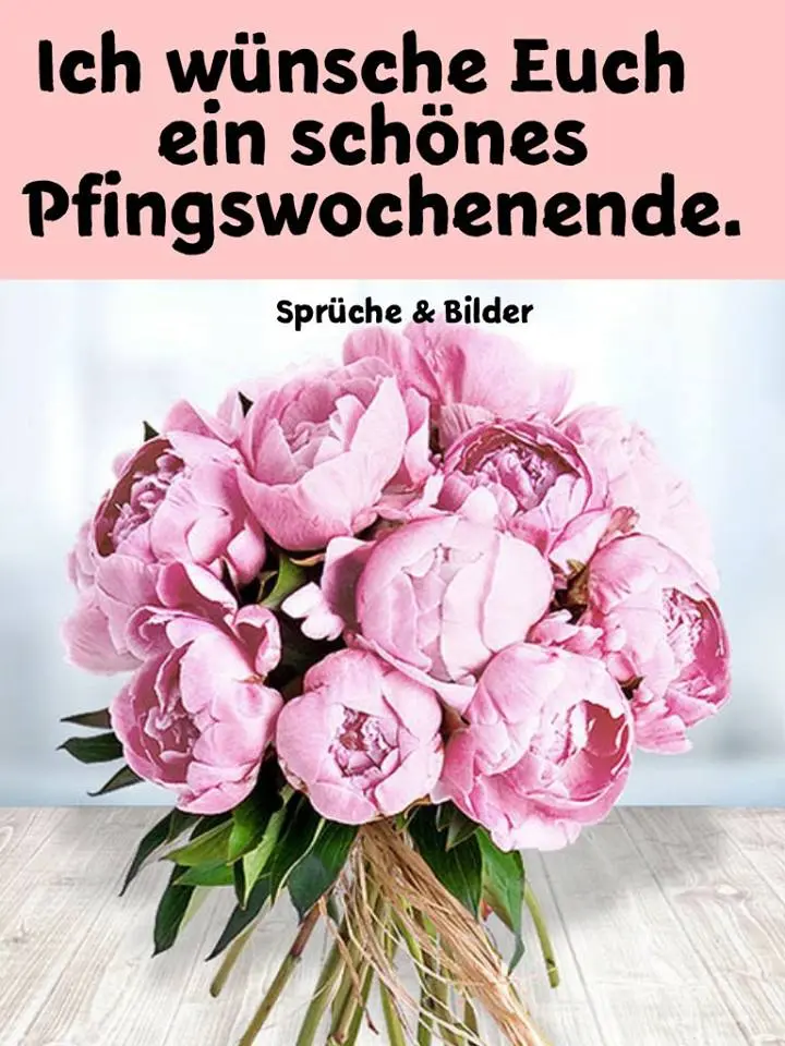 Condolence image of Annemarie und Elke mit Snoopy❤️und Pünktchen ❤️