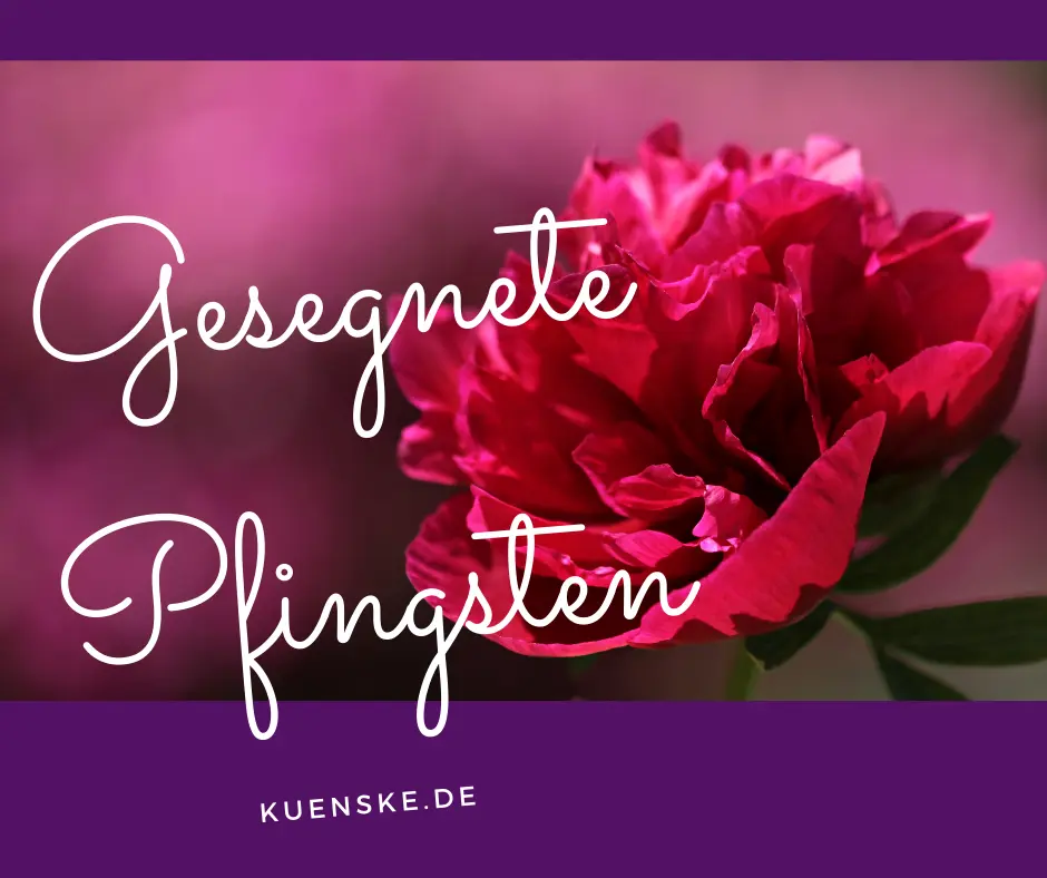 Condolence image of Annemarie und Elke mit Snoopy im Herzen gest.04.01.2022 und Pünktchen vermisst April 2021