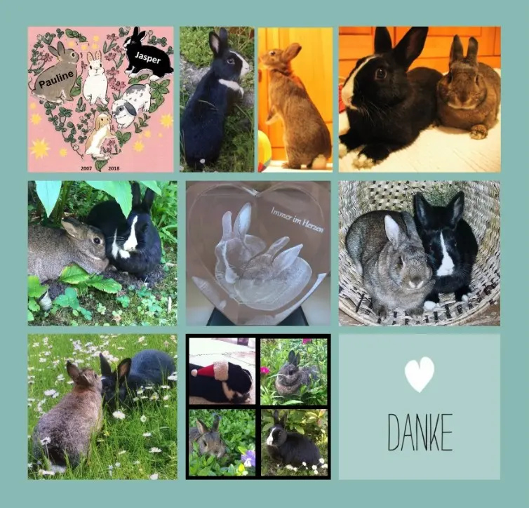 Condolence image of Danke von Drina mit Pauline und Jasper im ❤️