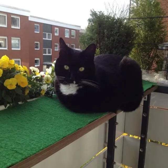 Condolence image of Cita❤️