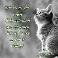 Condolence image of Snoopy und .Pünktchen