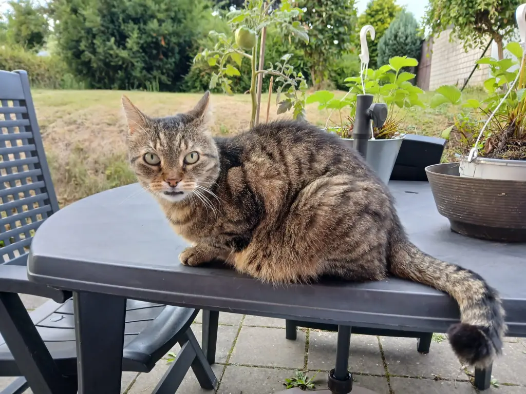 Condolence image of Annemarie und Elke mit Snoopy❤️und Pünktchen ❤️