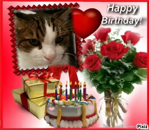 Condolence image of Deine Katzenmutti Tanja ❤