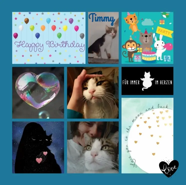 Condolence image of Ein Strauß Geburtstagsrosen für Timmy 