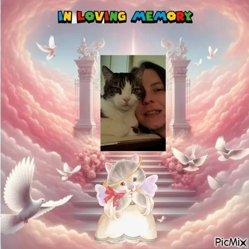 Condolence image of ❤️❤️❤️❤️❤️❤️❤️❤️❤️❤️❤️❤️