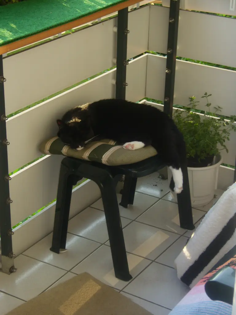 Condolence image of Heide mit Cita im Herzen❤️