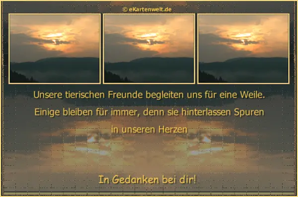 Condolence image of Snoopy und .Pünktchen