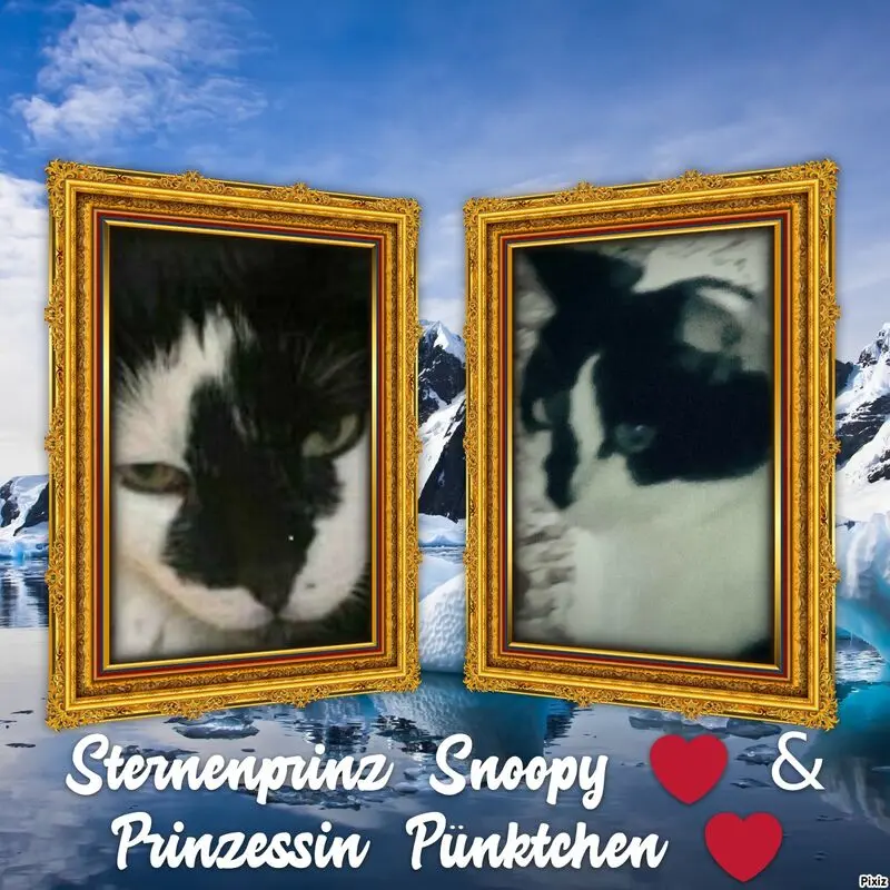 Condolence image of Annemarie und Elke mit Snoopy im Herzen gest.04.01.2022 und Pünktchen vermisst April 2021