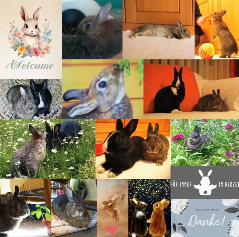 Condolence image of Danke von Pauline und Drina