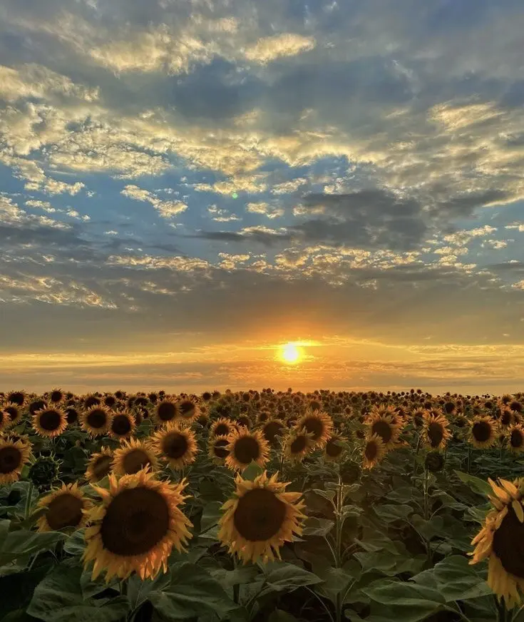 Condolence image of Heide mit Cita im Herzen❤️