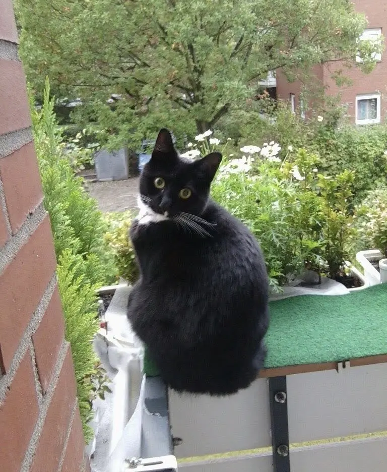 Condolence image of Heide mit Cita im Herzen❤️