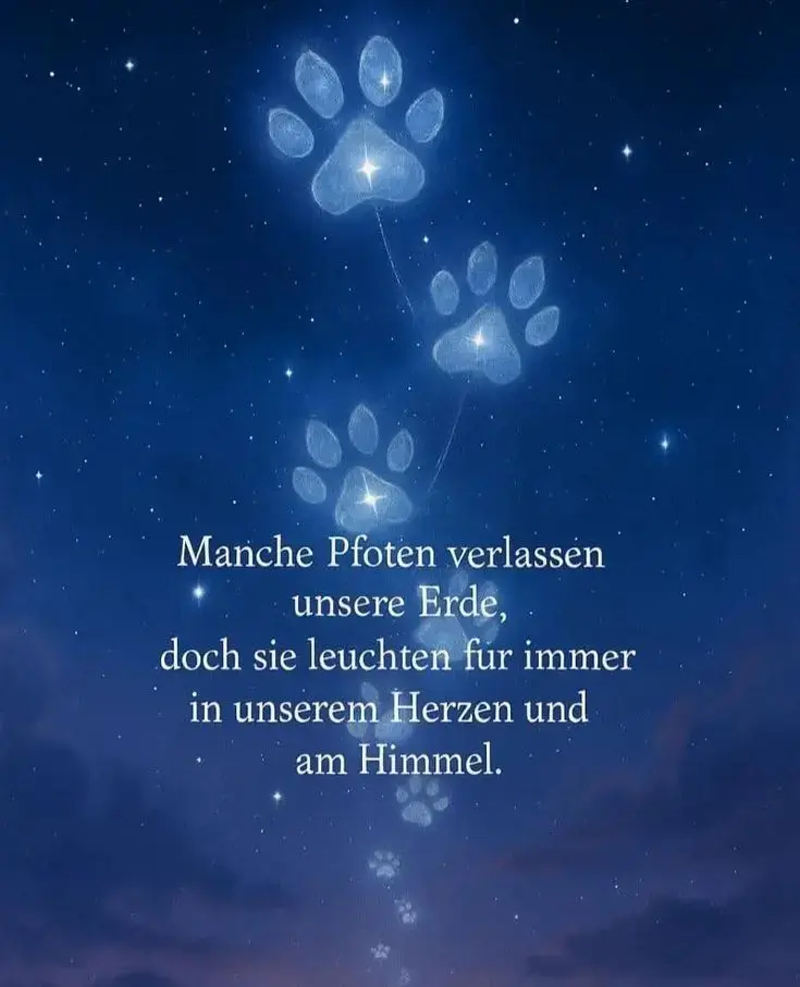 Condolence image of Snoopy und Pünktchen