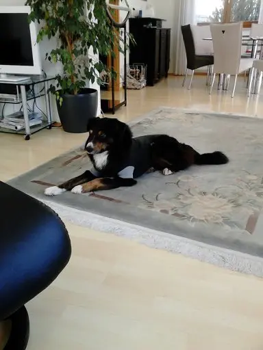 Condolence image of Renate mit ihrem geliebten Bubele ganz tief im Herzen