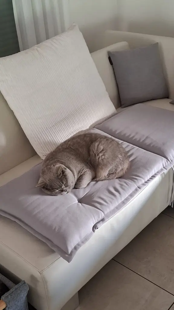 Condolence image of An Timmy und Tanja