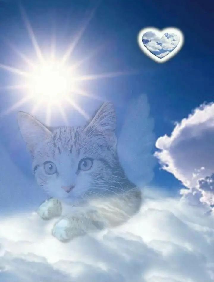 Condolence image of Michaela