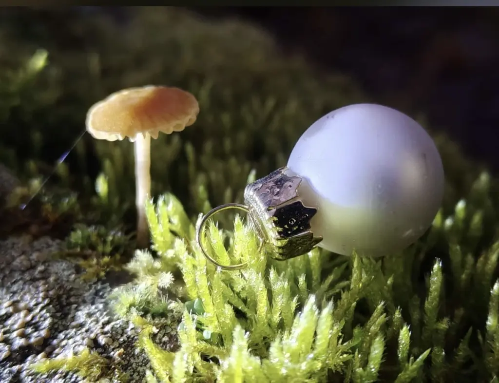 Condolence image of Für Timmy und Tanja