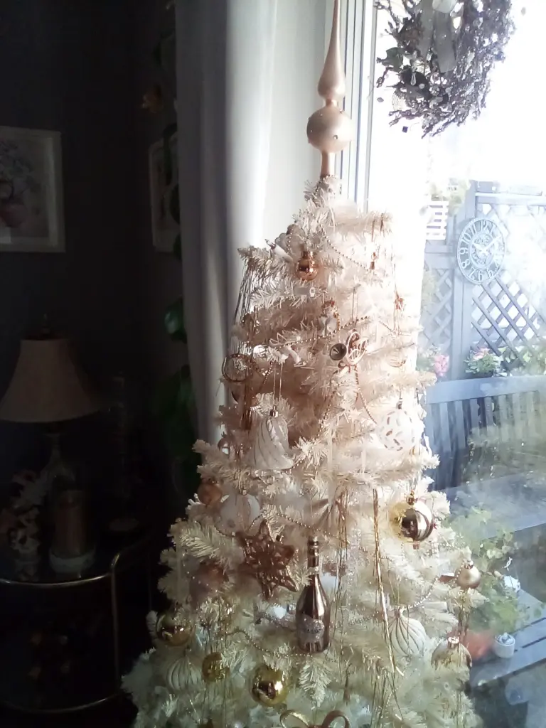 Condolence image of Beate mit Elvis im Herzen ❤