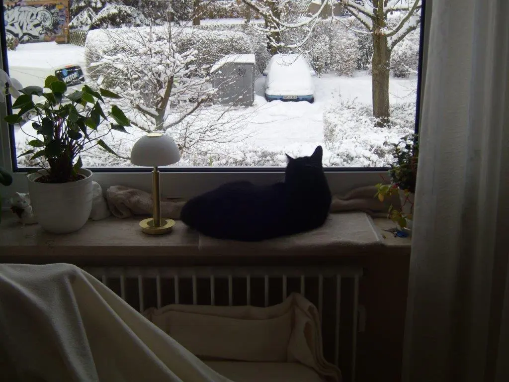 Condolence image of Heide mit Cita im Herzen❤️