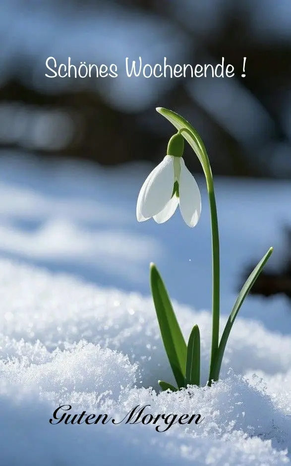 Condolence image of Heide mit Cita im Herzen💘