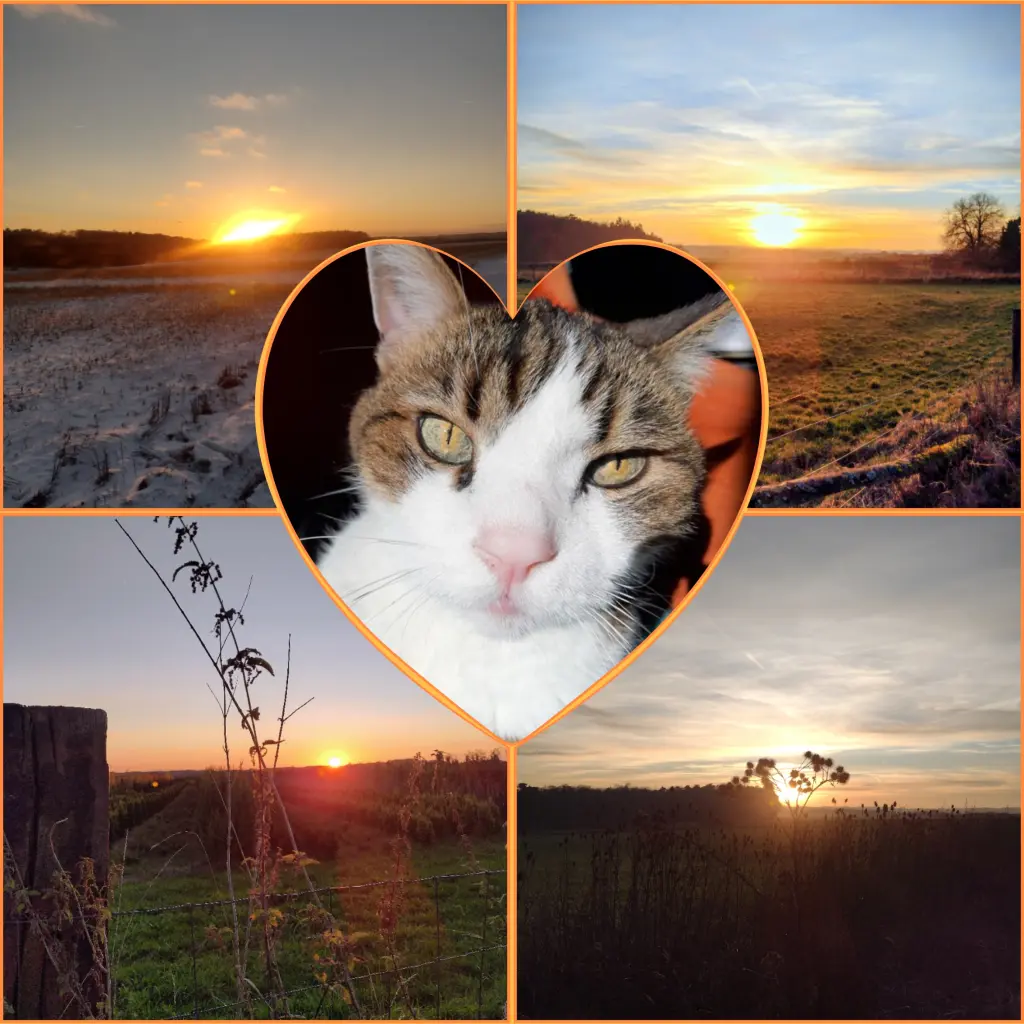 Condolence image of Corinna ❤️