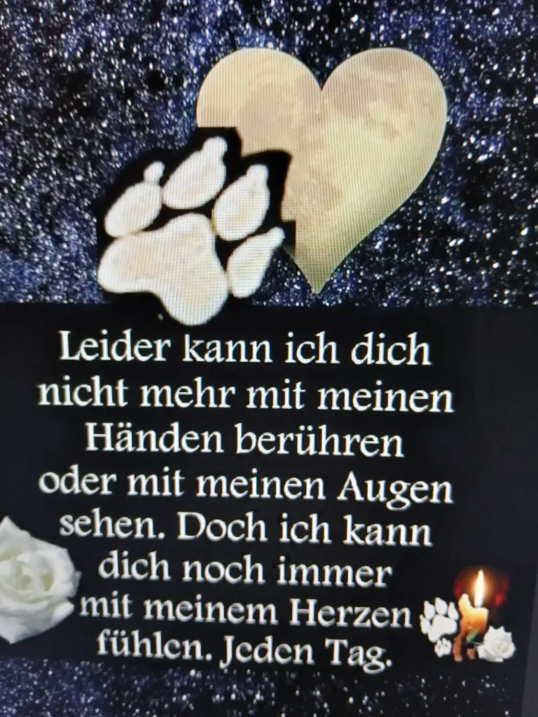 Condolence image of Snoopy und Pünktchen ❤️ ❤️