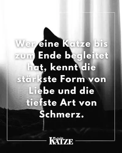 Condolence image of Annemarie und Elke mit Snoopy und Pünktchen ❤️ ❤️