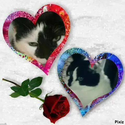 Condolence image of Snoopy und Pünktchen ❤️ ❤️