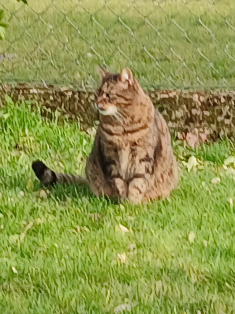 Condolence image of Snoopy und Pünktchen ❤️ ❤️
