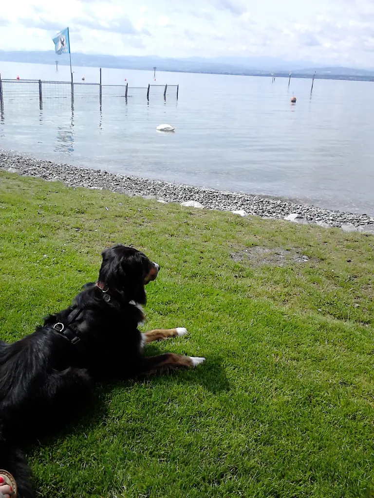 Condolence image of Renate mit ihrem geliebten Bubele